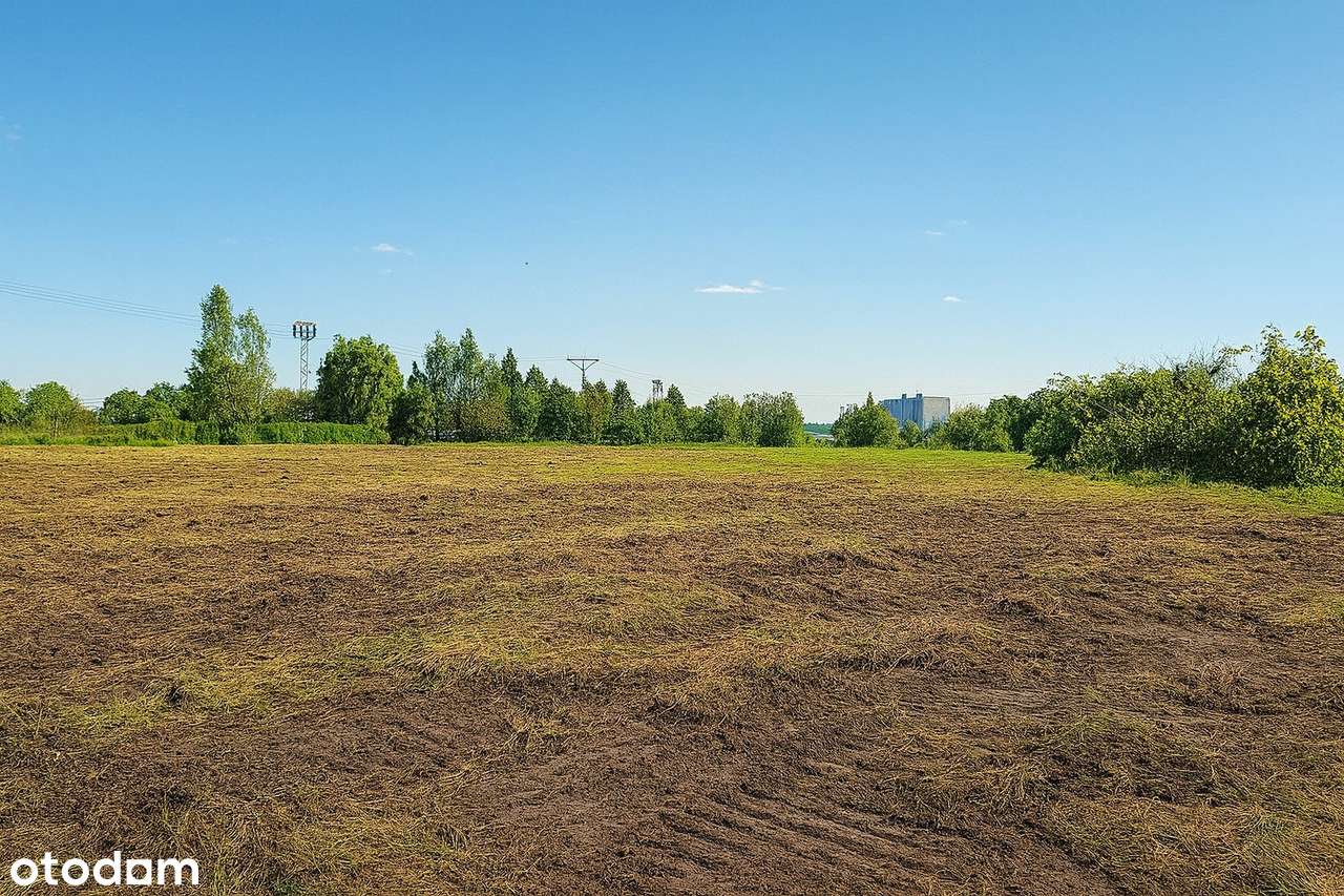 Działki budowlane Z MPZP od 2500 mkw do 8100 mkw. w dobrej lokalizacji-3