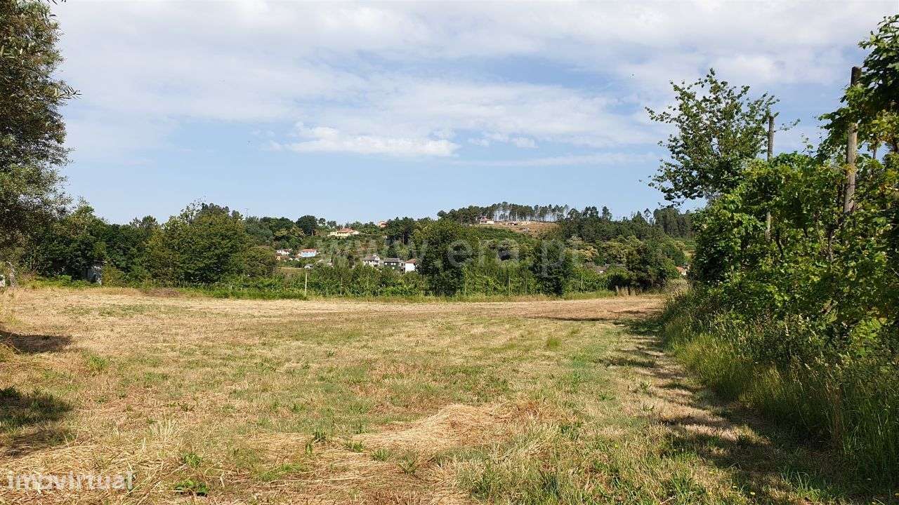 Terreno para cultivo com 4.500 m2 em Cabeceiras de Basto - Grande imagem: 5/12
