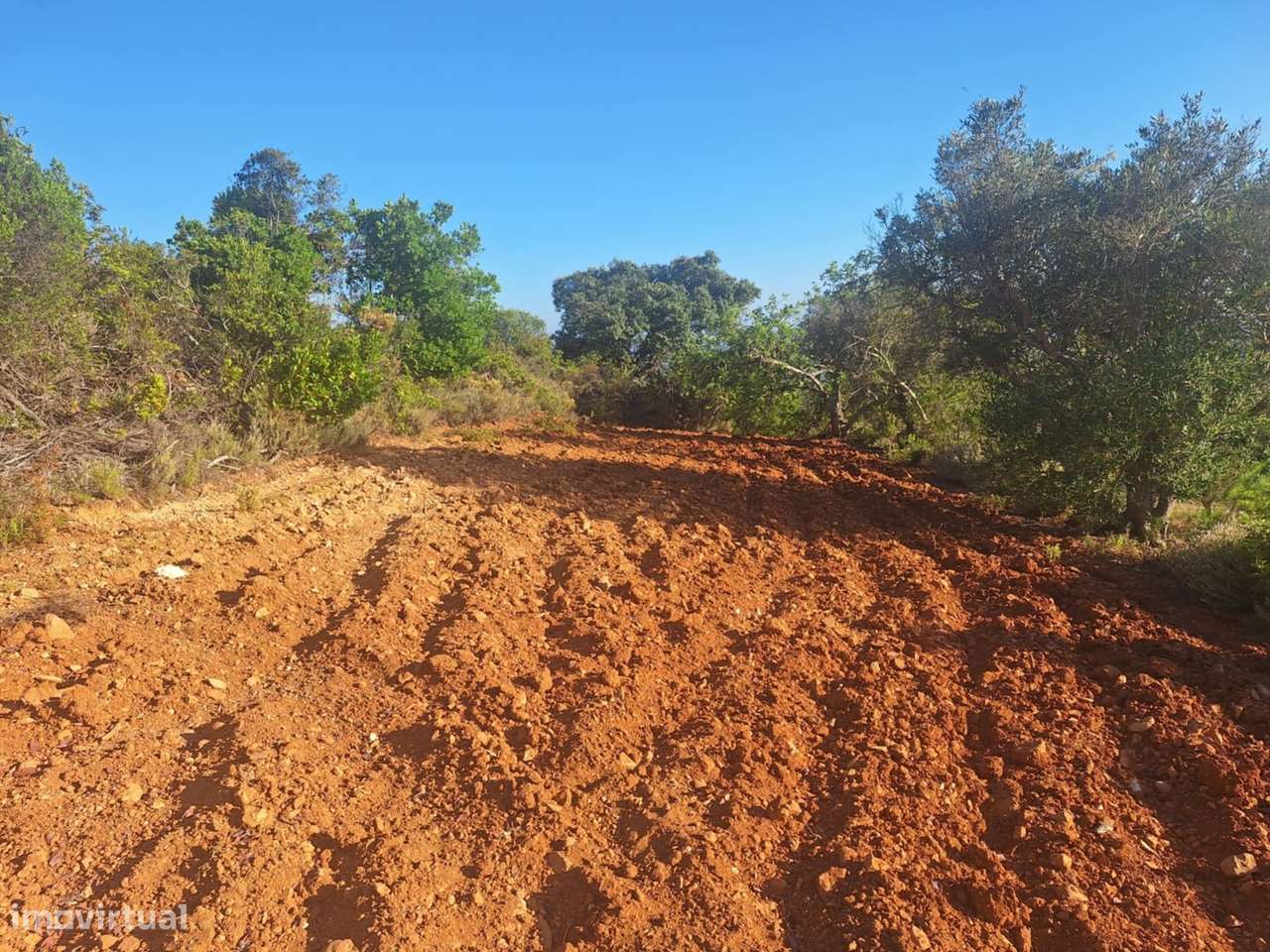 Terreno Rústico a 10km de Estoi-4