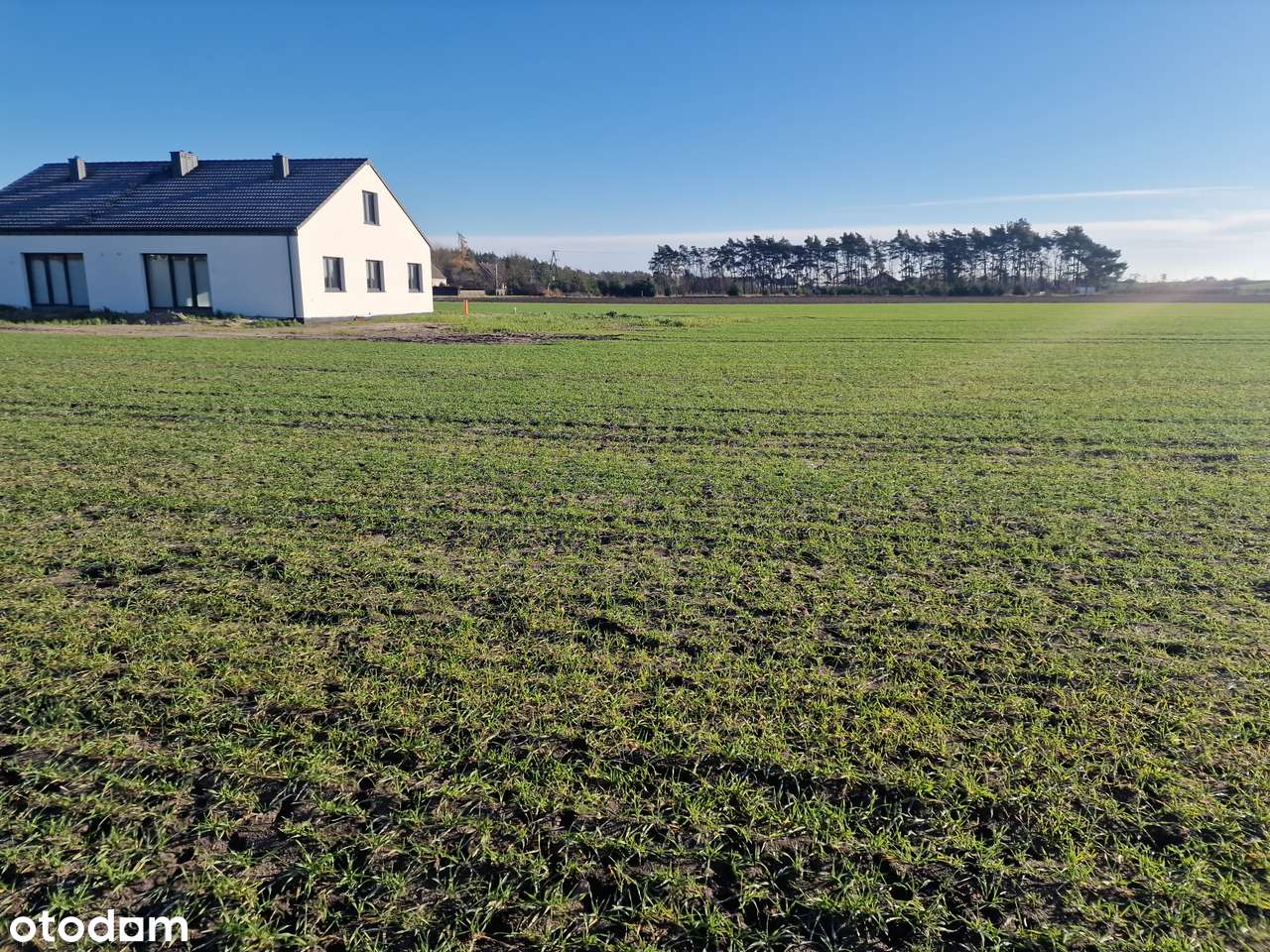 Bezpośrednio właściciel okolice Wronek Na skraju Lasu, nowe domy obok - Pełny obrazek: 5/6