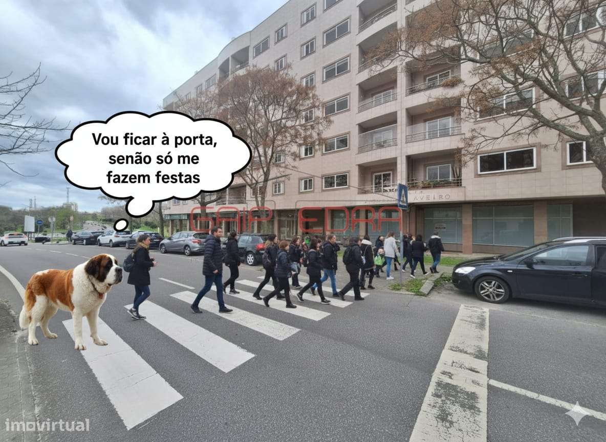 Oportunidade comércio ou apartamentos Aveiro Centro - Grande imagem: 3/28