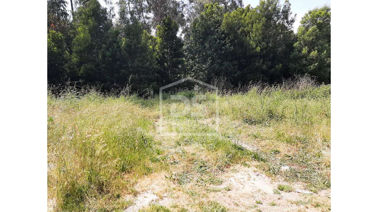 Terreno  Venda em Bustelo,Penafiel - Grande imagem: 4/23