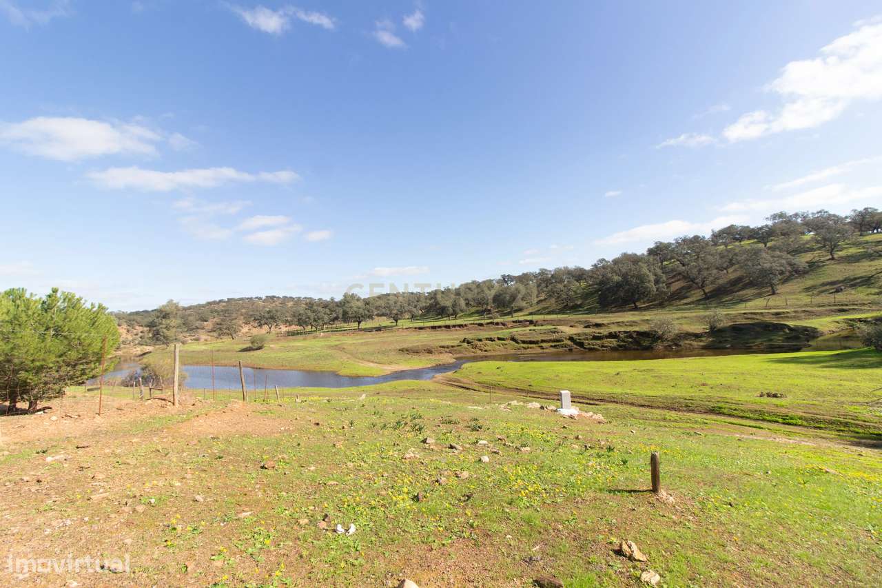 Terreno em Vila Verde de Ficalho | Oportunidade Única com 35,48 Hectar - Grande imagem: 4/11