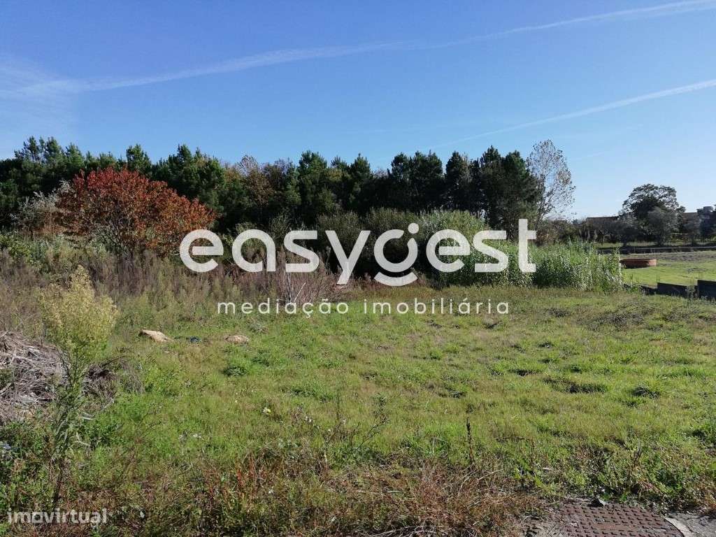 Terreno em Bustos (Oliveira do Bairro) - Grande imagem: 5/9