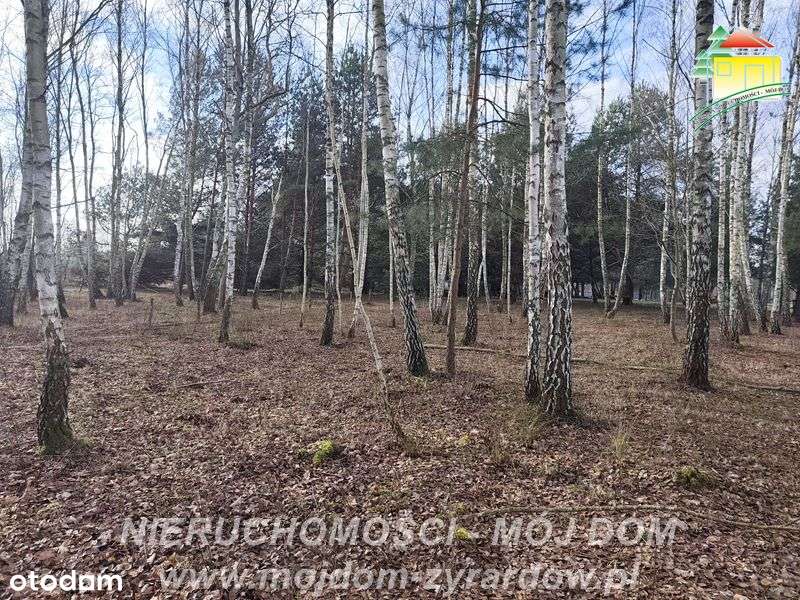 Polecamy działkę w Antoniewie. Warunki zabudowy w trakcie. - Pełny obrazek: 5/10