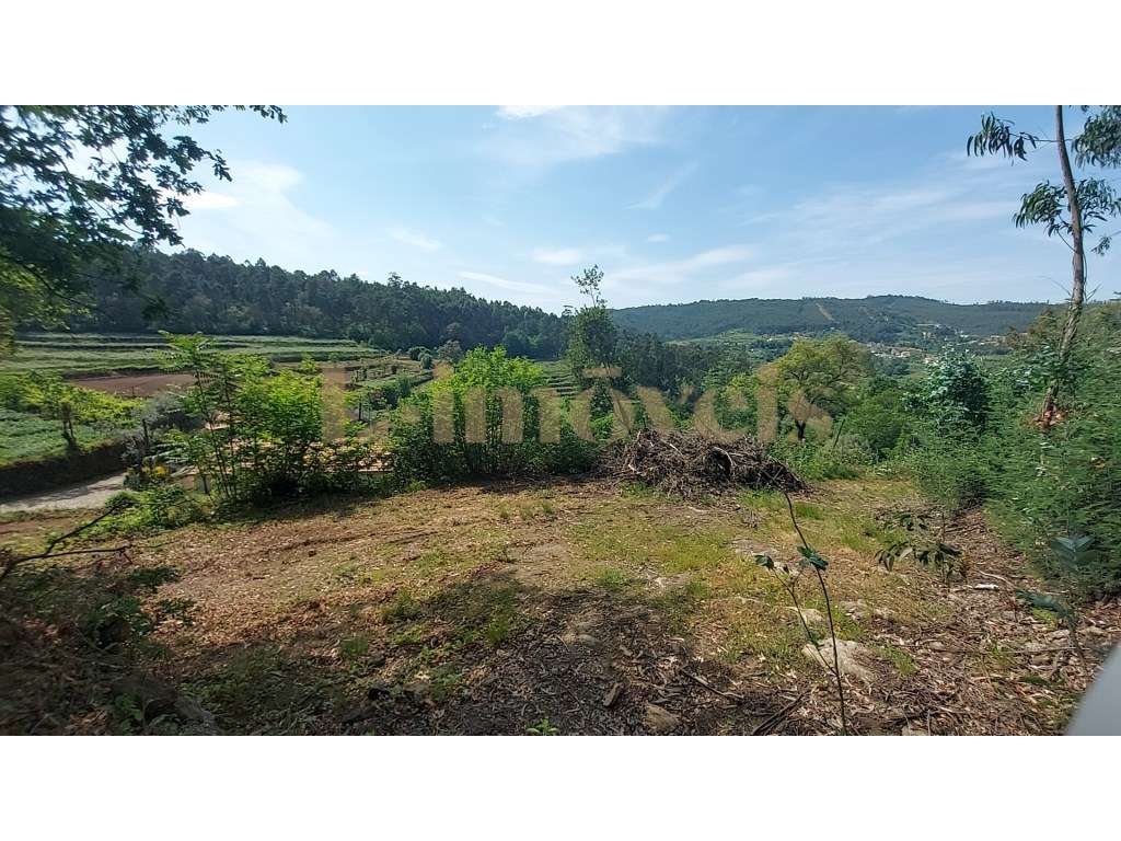 MORADIA T1, EM RUINA, EM TELÕES, AMARANTE - Grande imagem: 5/8