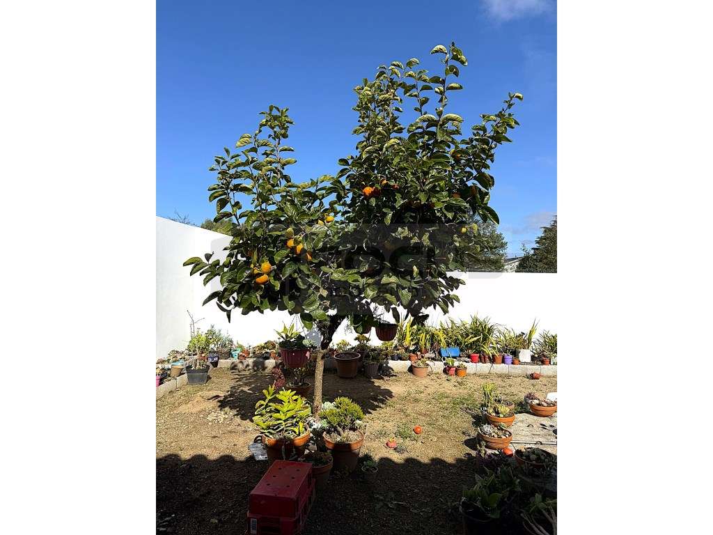 Espaçosa moradia T4 para venda em Esgueira-53