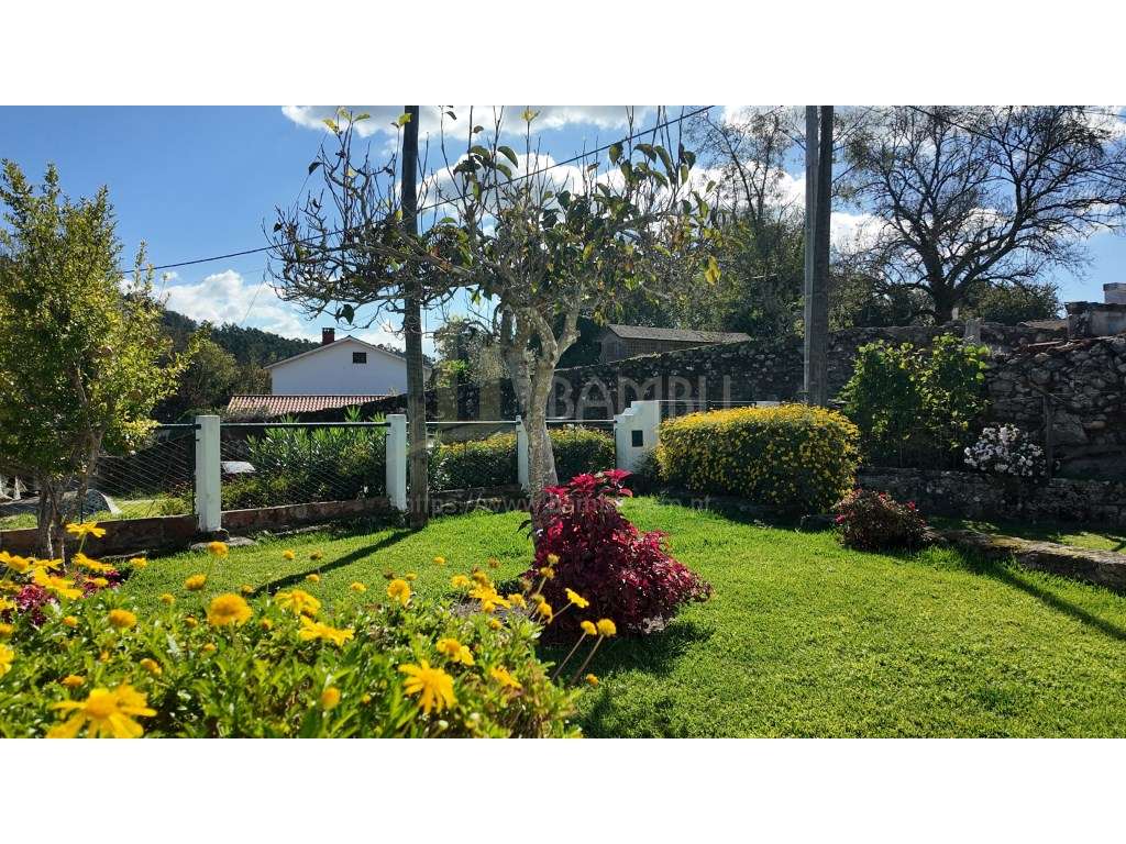 Moradia T2 em Vilar de Mouros, inserida em terreno com 3113m2-2