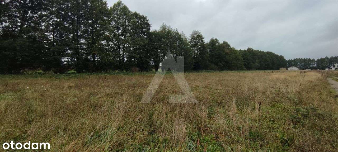 Działki z Mpzp w Małe Rudy. - Pełny obrazek: 4/6