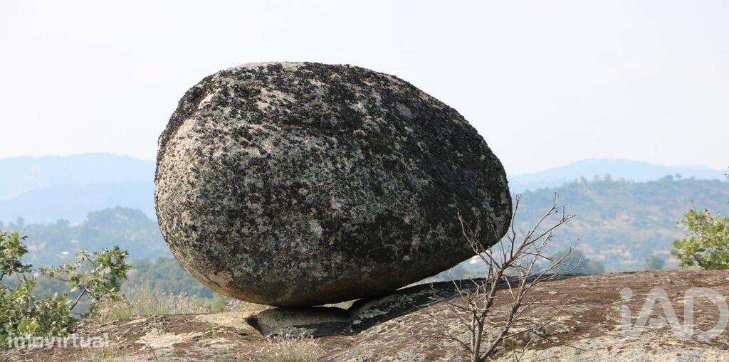 Prédio em Monsanto e Idanha-a-Velha de 1682,00 m2 - Grande imagem: 5/25