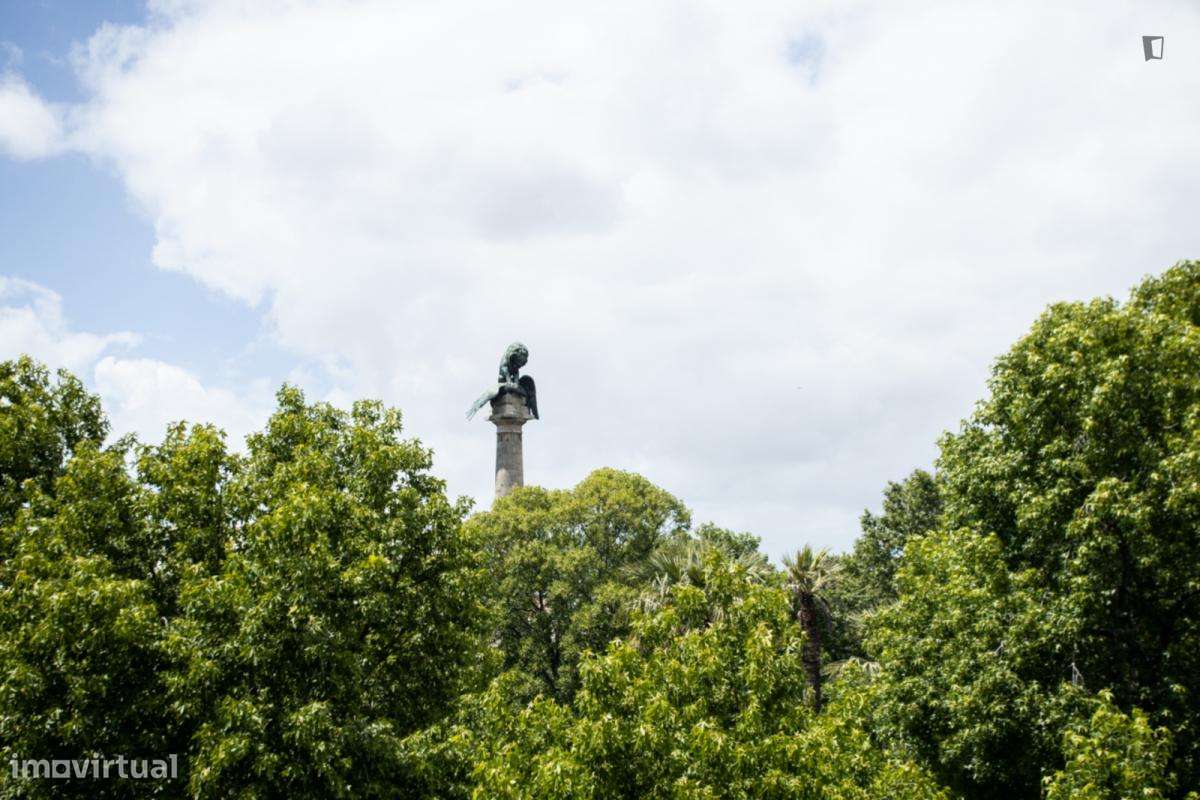 Apartamento com 4 quartos - localizado em Cedofeita Porto - Grande imagem: 5/10