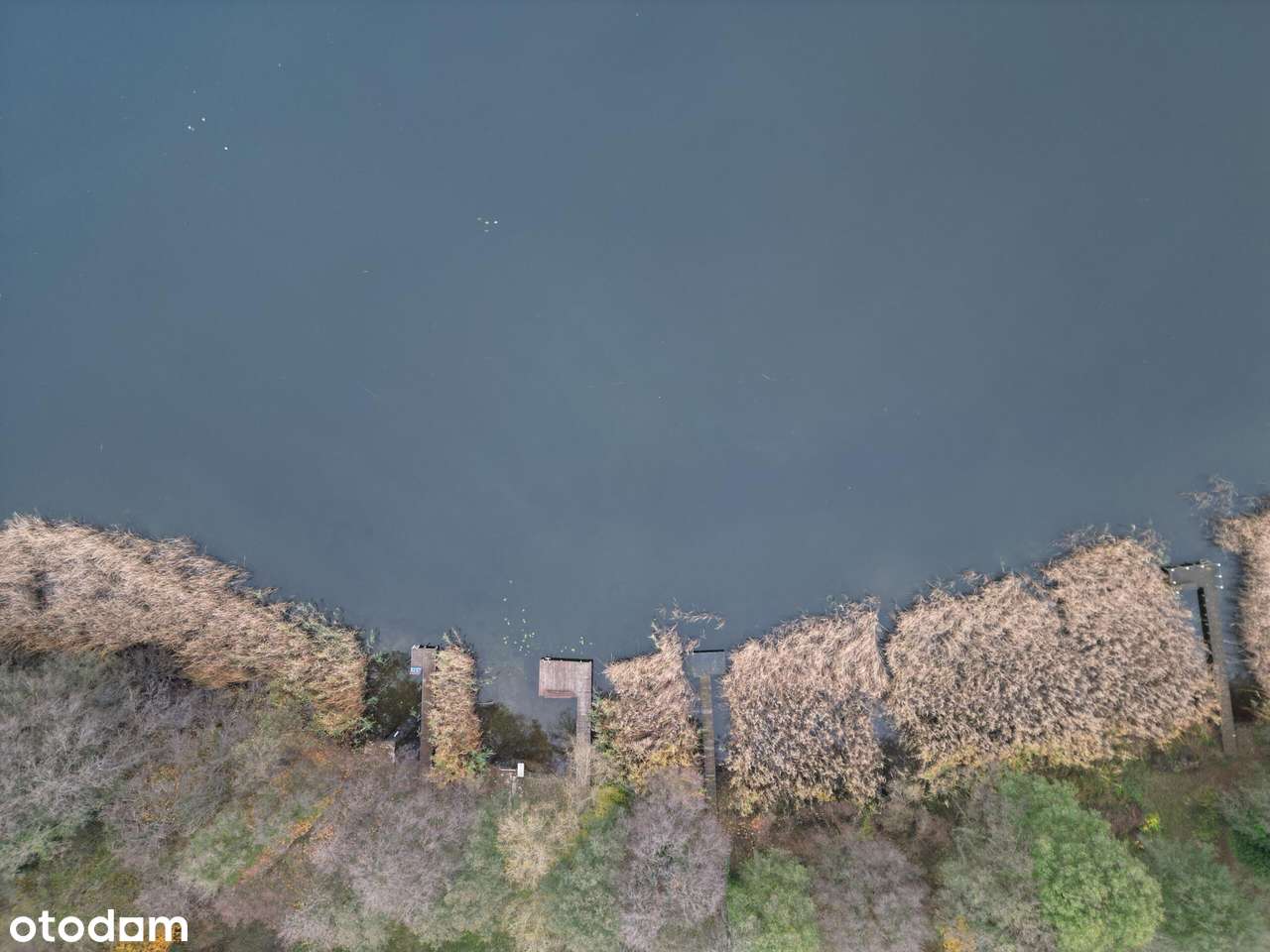 Działka budowlana nad jeziorem pod zabudowę jednorodzinną - Pełny obrazek: 5/6