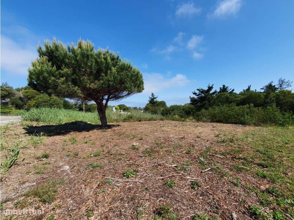 Lote 1ª linha Lagoa de Óbidos com projetos aprovados - Grande imagem: 5/16