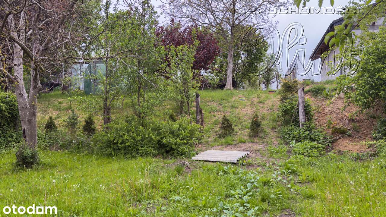 Okazja! Bliźniak z potencjałem-11