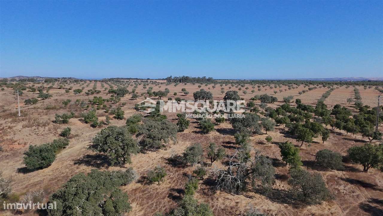 Herdade  Venda em Garvão e Santa Luzia,Ourique-29