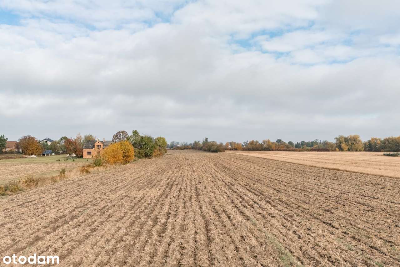 Działki siedliskowe po podziale z WZ| MEDIA | Brwinów | A2 - Pełny obrazek: 4/7
