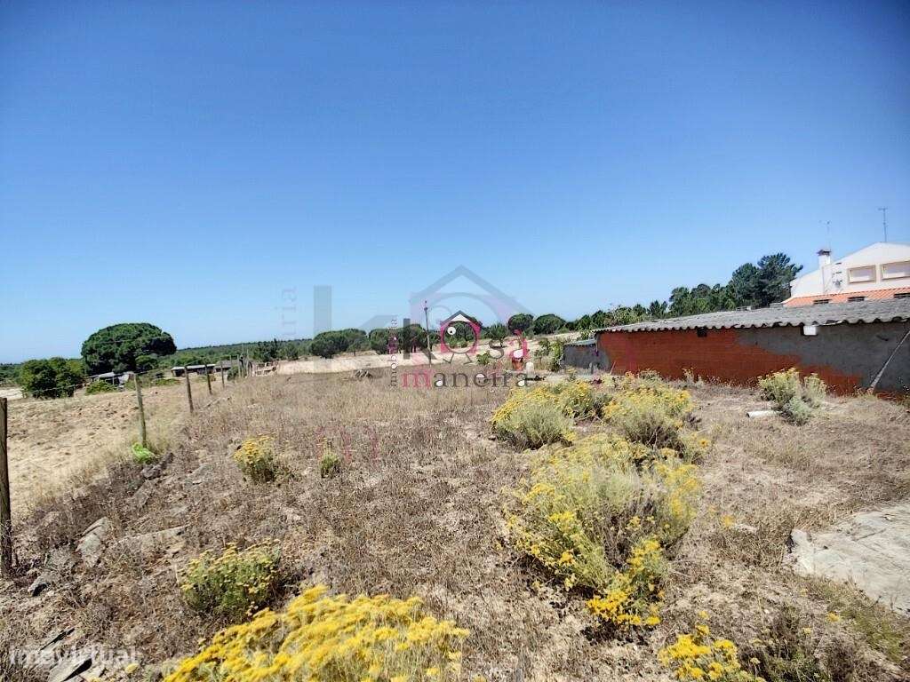 4 Moradias em Melides, exelente para investimento - Grândola-15