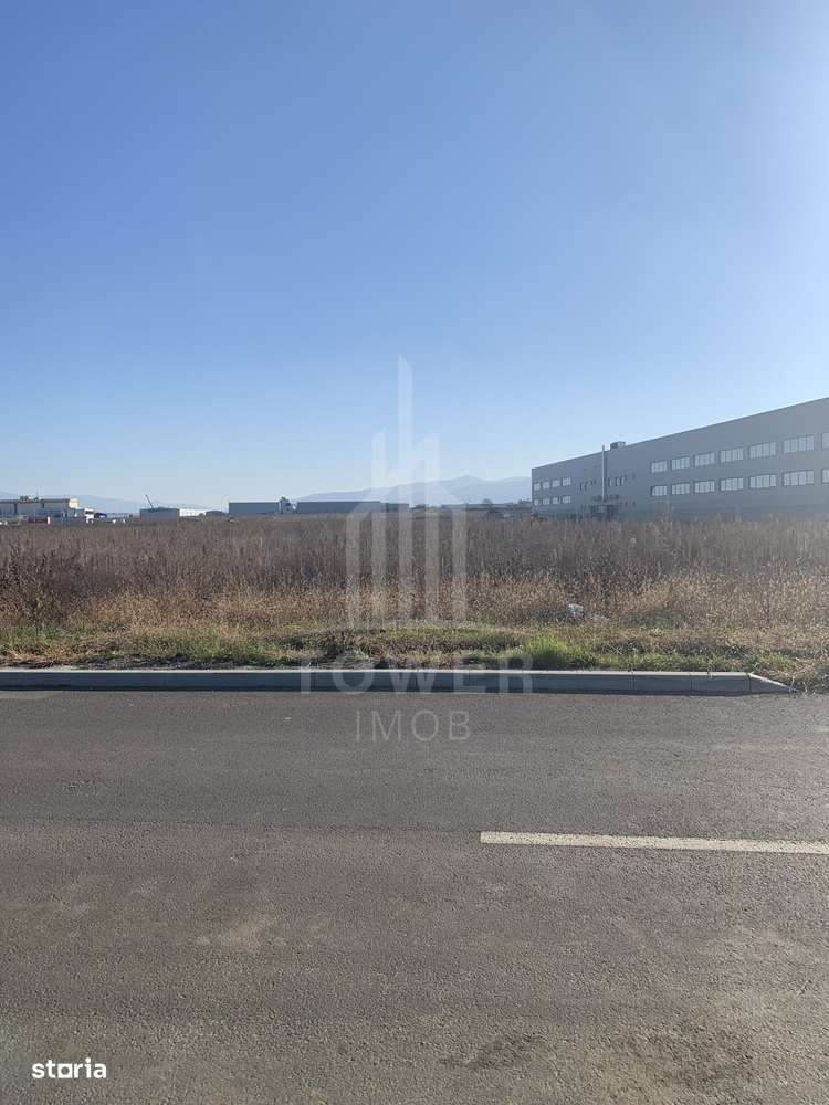 TEREN INTRAVILAN - ZONA INDUSTRIALA VEST-9000 mp, sau 18000 mp - Imagine principală: 5/7