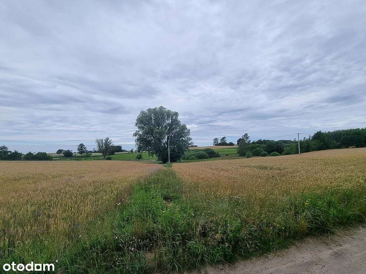 Inwestycja na wiejską osadę 6 domów-11