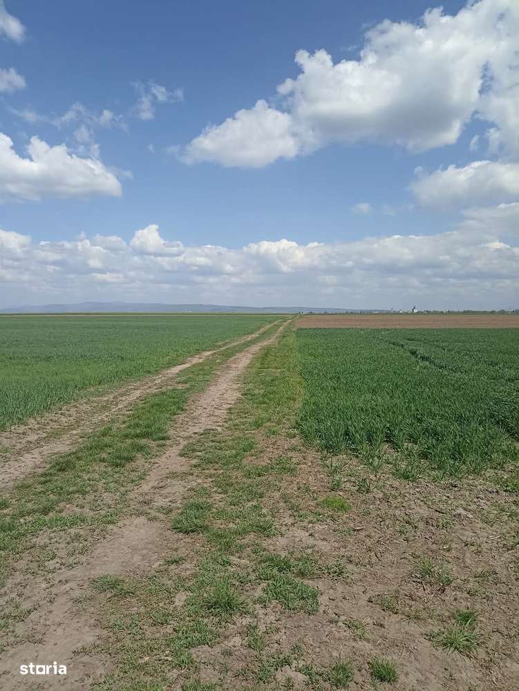 De vânzare teren extravilan langa drumul DN11-6