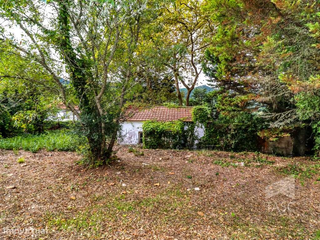 Moradia para reconstrução em Colares-5