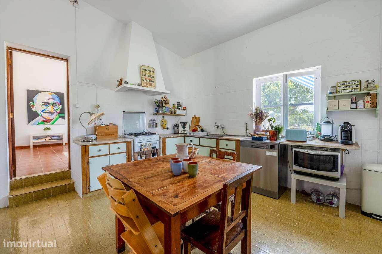 TERRENO DE 5,7 HA COM QUINTA TRADICIONAL PARA VENDA EM BUDENS / VILA D - Grande imagem: 5/37