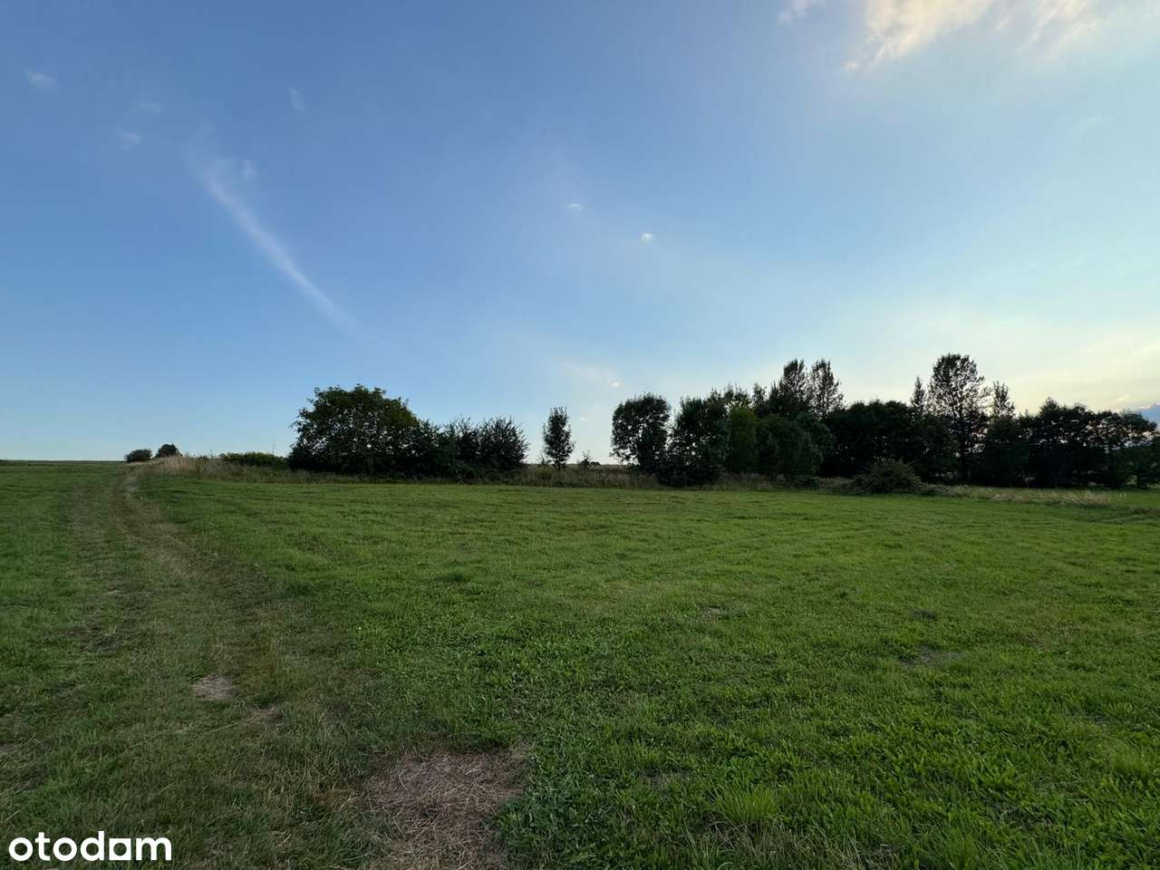 Działka rolna – 37 arów (3700 m²), Grojec k. Krakowa - Pełny obrazek: 5/7