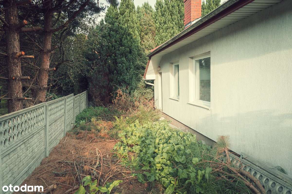 Dom i Duża działka. Atrakcyjna lokalizacja. - Pełny obrazek: 5/20