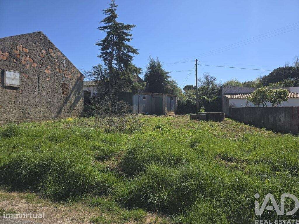 Terreno para construção em Lamas e Cercal de 243,00 m2 - Grande imagem: 5/6