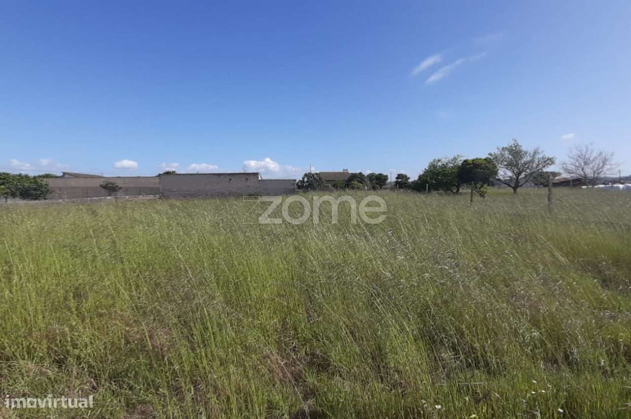Terreno 1390 m2 | Ereira | Montemor-o-Velho - Grande imagem: 3/16