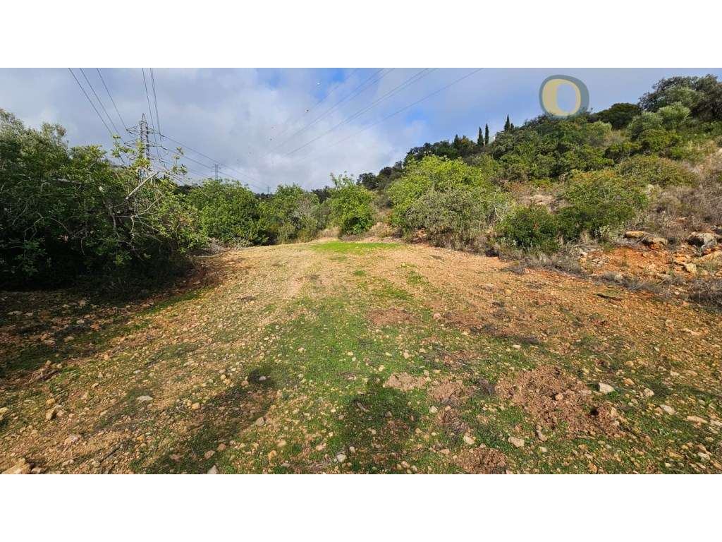 Terreno Rústico em Estoi com Poço-7