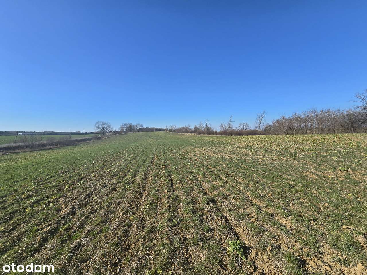 3 z 7 działek budowlanych w Lubiatówku-8