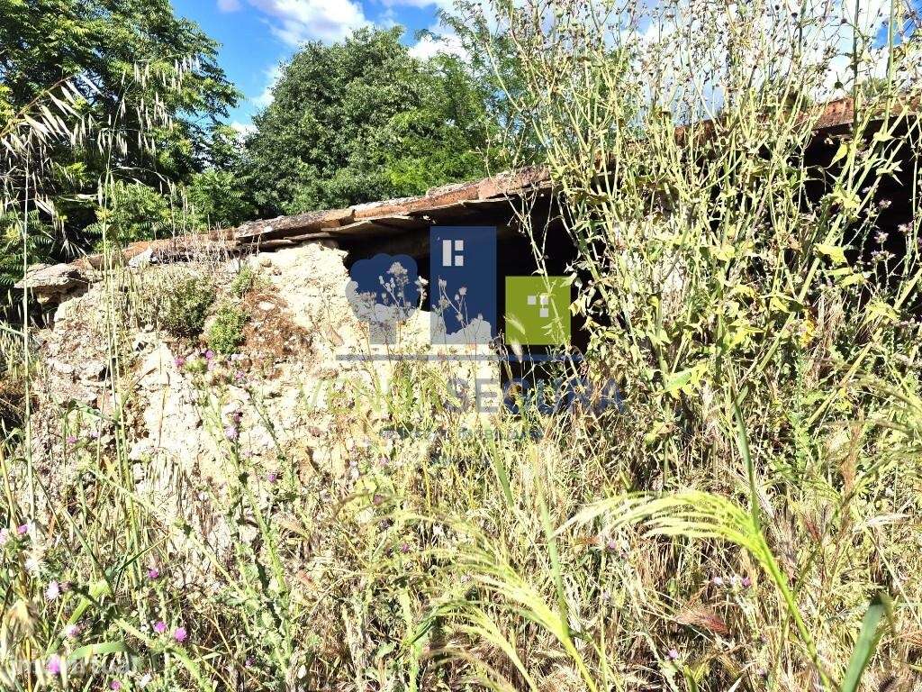 Prédio  Misto, com 0,7250 Ha | MOURA-10