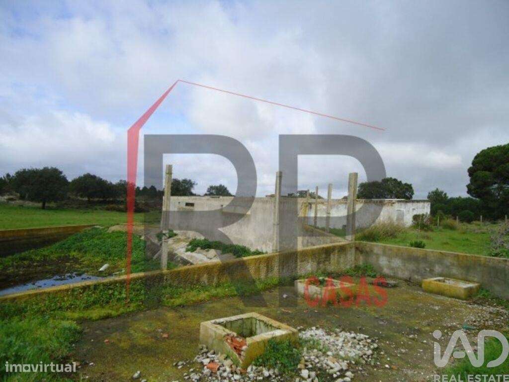Terreno industrial em Quinta do Anjo - Grande imagem: 4/12