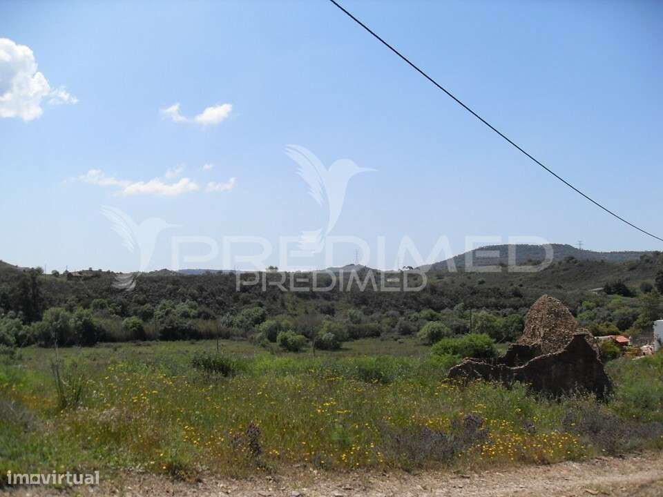S. BARTOLOMEU MESSINES. Terreno misto com habitação em ruínas - Grande imagem: 3/15