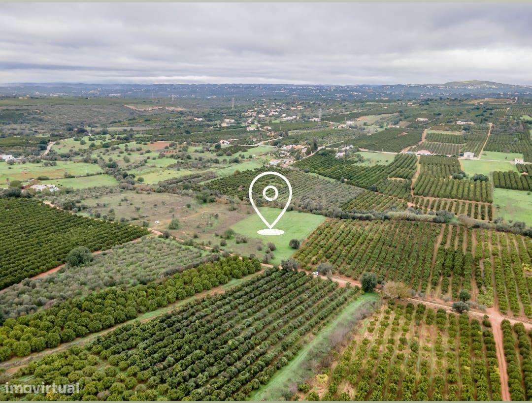 Terreno rústico | 6.960m2 | Castelos -Algoz - Grande imagem: 4/11