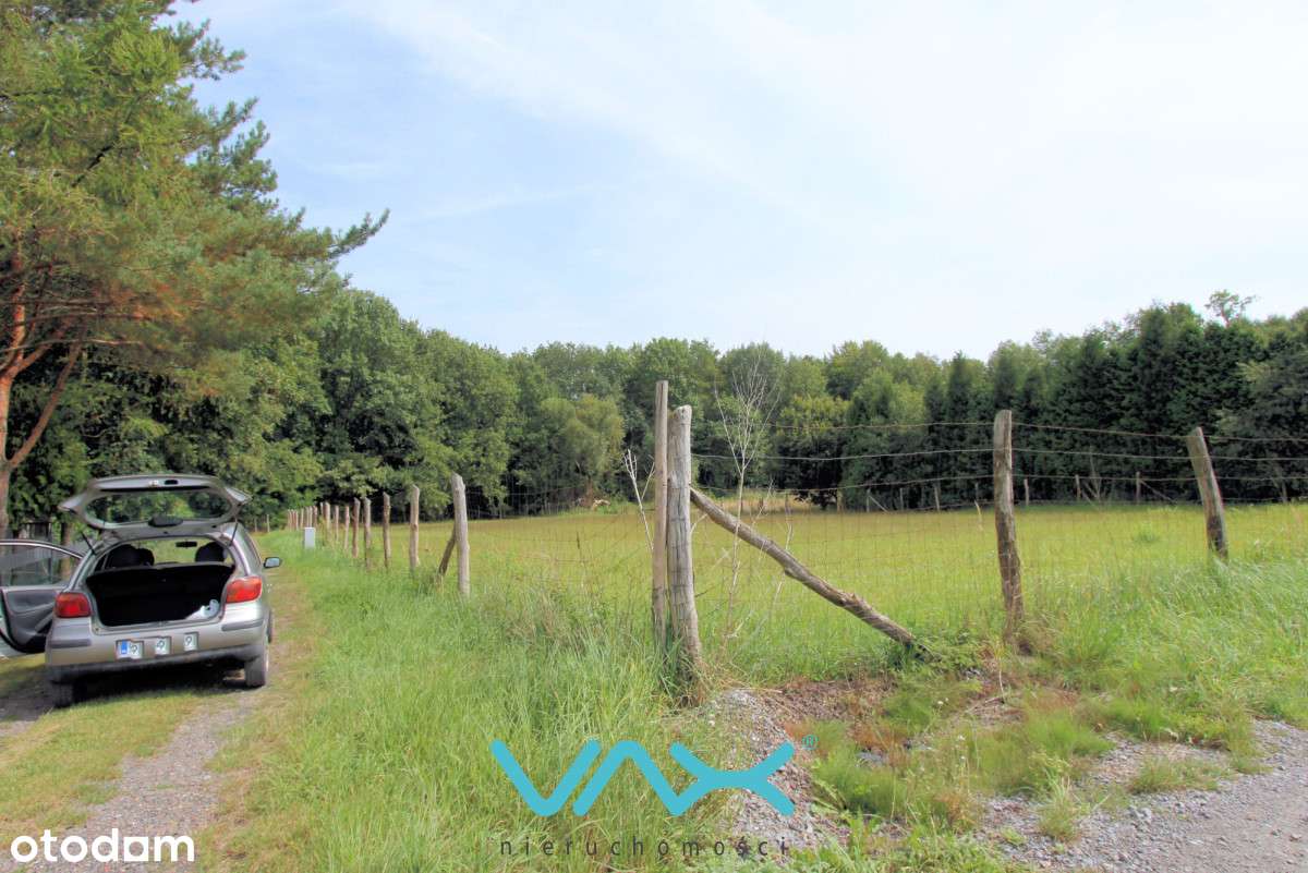 Działka pod samym lasem - Pełny obrazek: 5/7