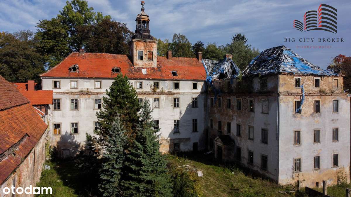 Pałac wraz ze stajniami i parkiem do rewitalizacji - Pełny obrazek: 3/15