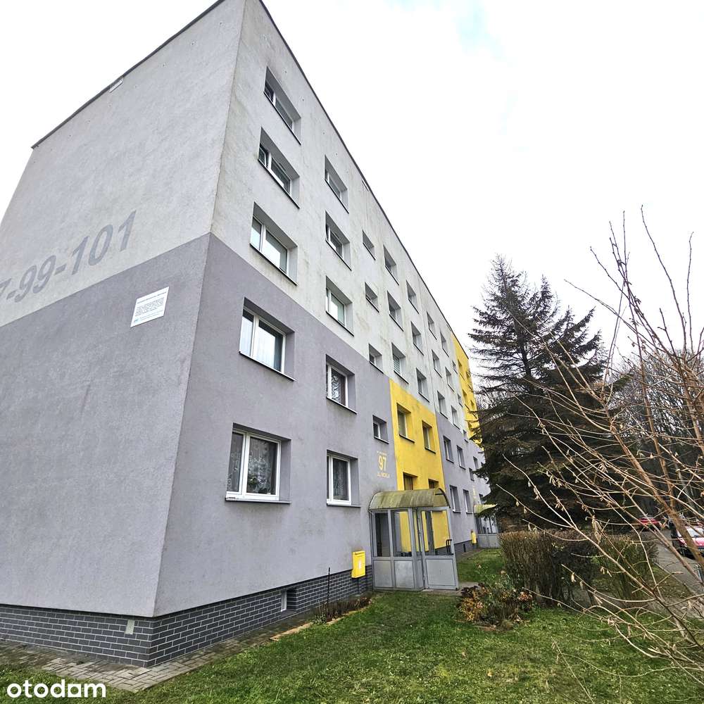 Miechowice- 2 Duże pokoje przy lesie !!! - Pełny obrazek: 1/8