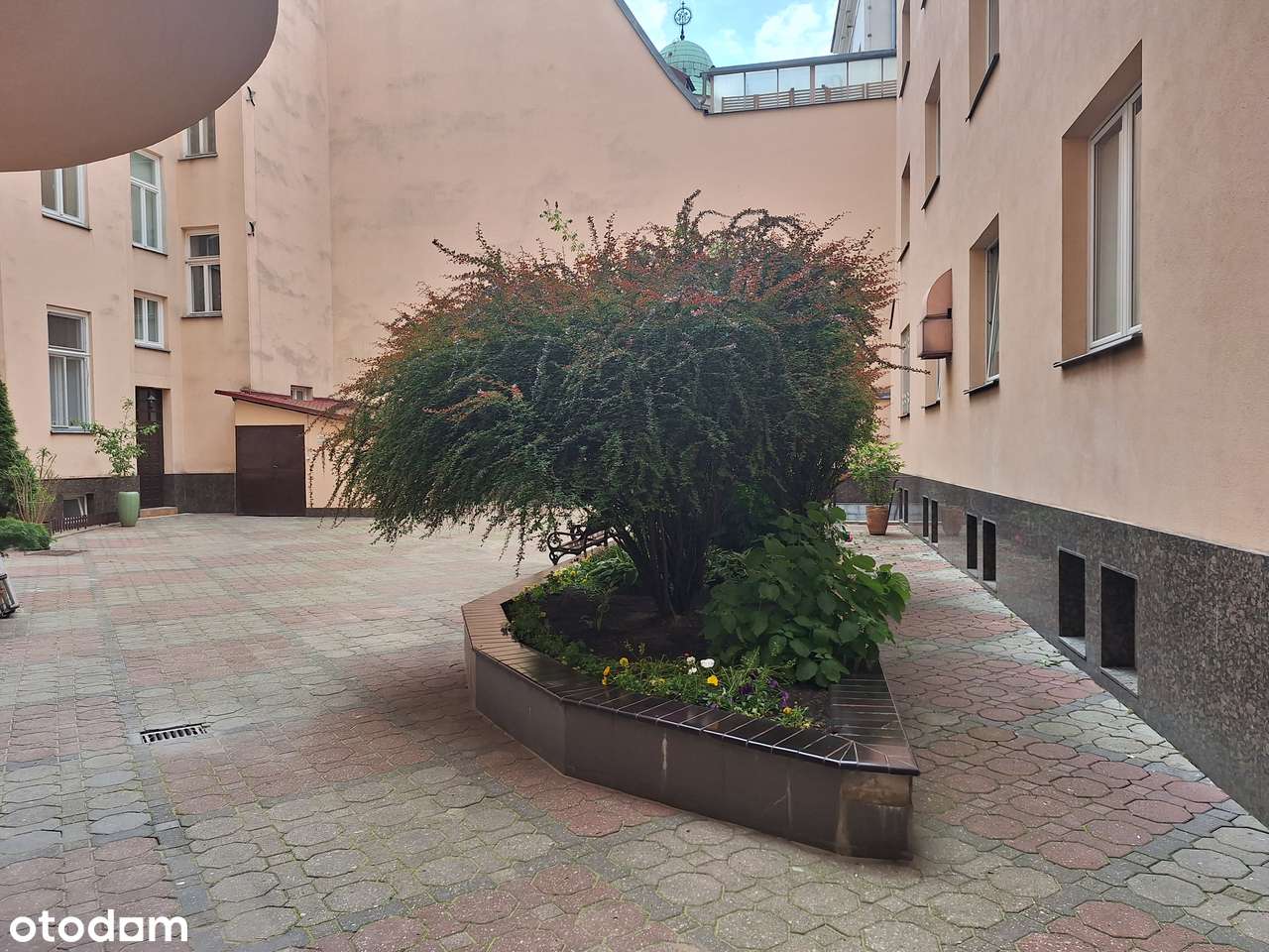 Lokalizacja PREMIUM na ul. Mokotowskiej-12