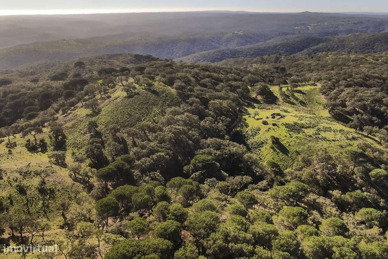 Terreno Rústico 13.0 ha, Grandola - Grande imagem: 5/5