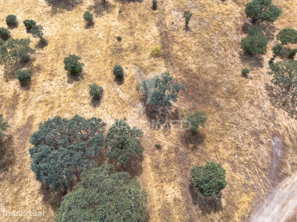 Terreno Rústico de 9,975 Hectares à venda, Capelins - Grande imagem: 1/16