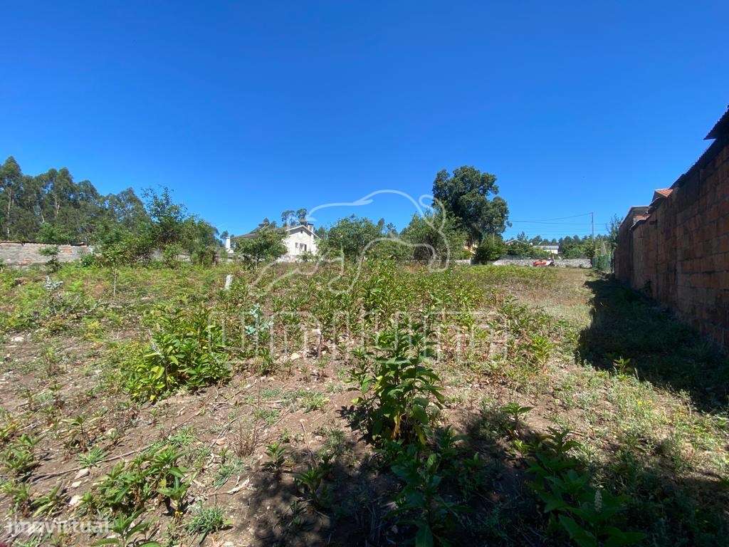 Terreno Fragoso - Grande imagem: 5/6