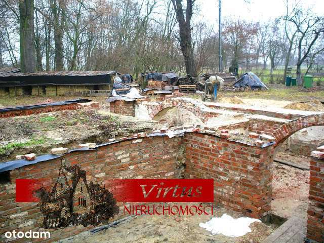 Park w Radomicach - Pełny obrazek: 4/12