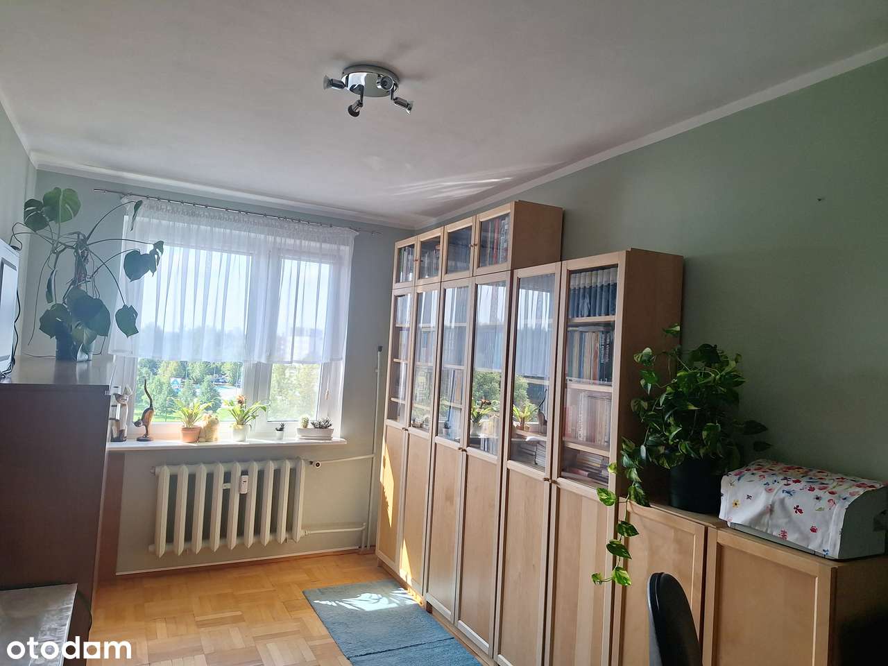 Piątkowo,Batorego,3 pokoje, do wprowadzenia w super lokalizacji-14