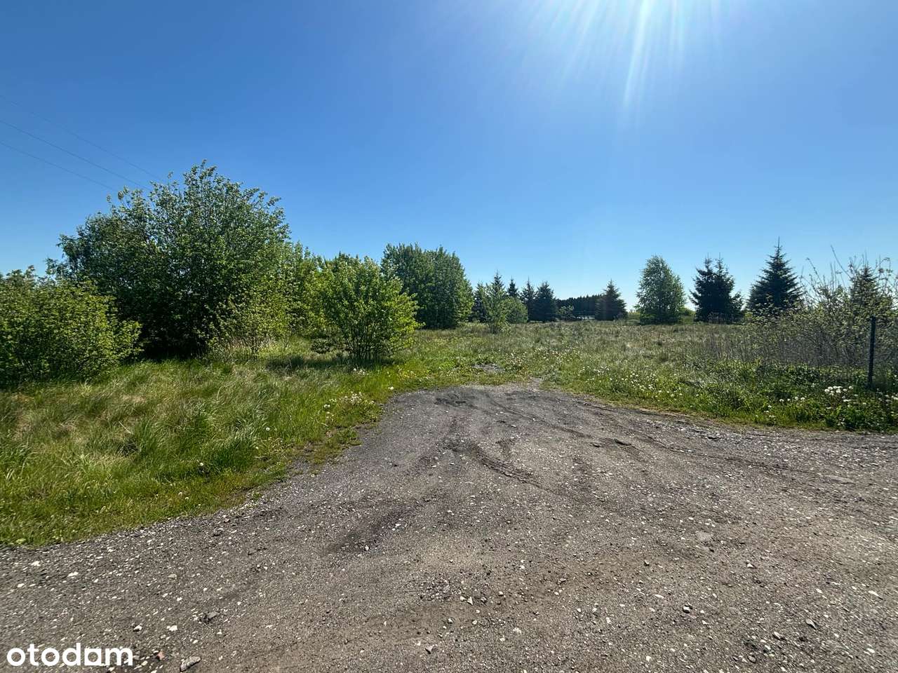 Działka, 3 148 m², Sztum - Pełny obrazek: 4/9