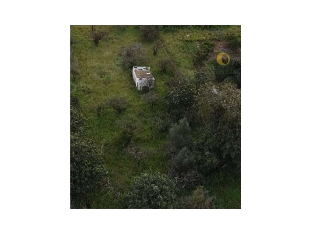Faro - Terreno com 1740 m2 urbanizável - Excelente oportunidade de ... - Grande imagem: 3/7