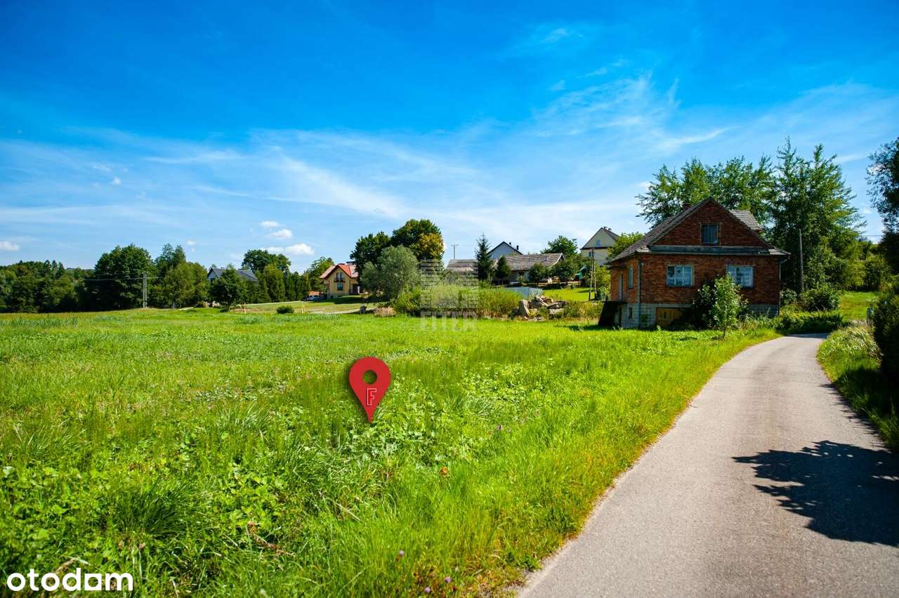 inwestycyjna z PNB przy DK75 - Pełny obrazek: 4/14