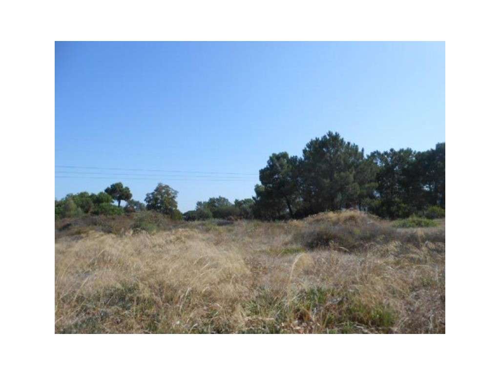 Terreno Urbano em Santo António da Charneca - Grande imagem: 3/3