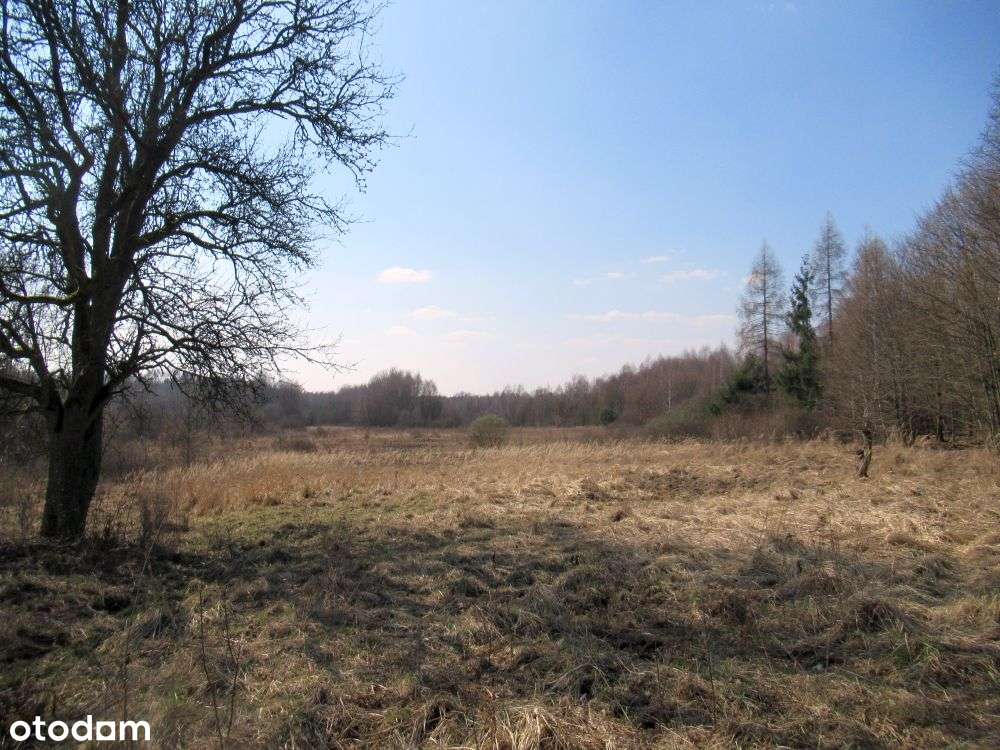 Działka budowlana 903 m2 w Marzyszu - Pełny obrazek: 4/5